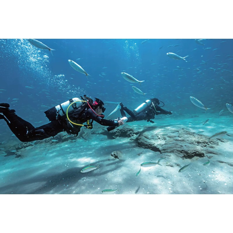 고속 전기 수중 스쿠터 (다이빙 및 스노클링용 프로펠러 - Underwater Scooter Sea Scooter 리뷰 및 가격