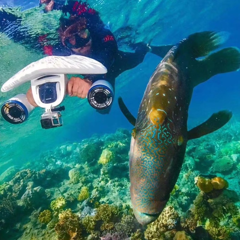 에어로 화이트샤크 믹스 듀얼 모터 전동 수중 스쿠터 ( - Underwater Scooter Sea Scooter 리뷰 및 가격
