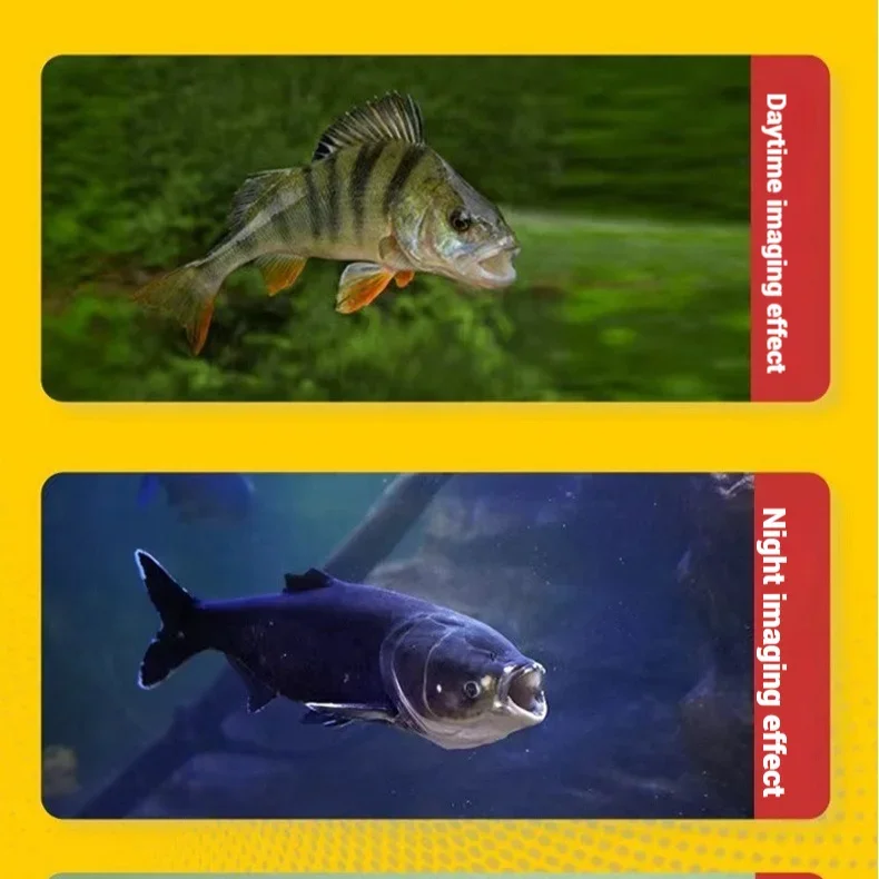 4.3인치/5인치 HD 화면 낚시 카메라, 야간 투시  - Underwater Fishing Camera 4K 리뷰 및 가격